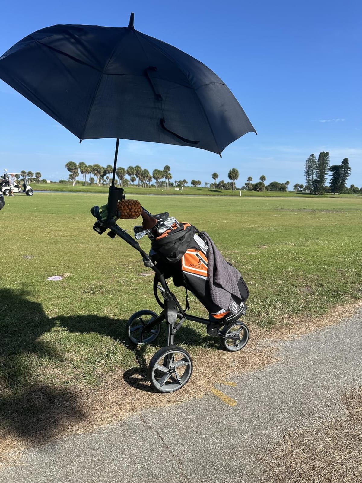 KVV 3 Wheel Foldable/Collapsible Golf Push Cart Ultra Lightweight Smallest Folding Size, New-Version Scorecard Holder Umbrella Holder Included customer photo 1