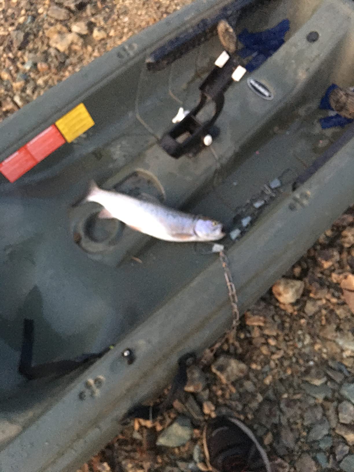Garmin Striker Cast, Castable Sonar, Pair with Mobile Device and Cast from Anywhere, Reel in to Locate and Display Fish on Smartphone or Tablet (010-02246-00) customer photo 1