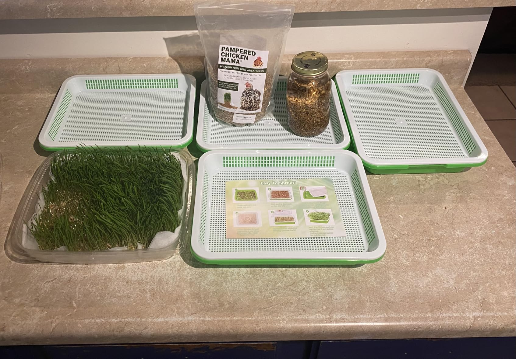 Legigo 5 Pack Seed Sprouter Trays with Lids, Microgreens Growing Trays Kit customer photo 2
