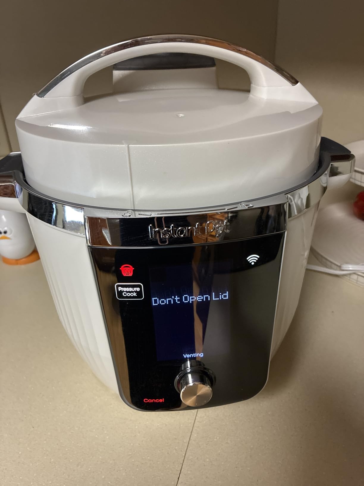 Instant Pot Pro Plus 6 Qt 10-in-1 Electric Pressure Cooker, Black customer photo 1