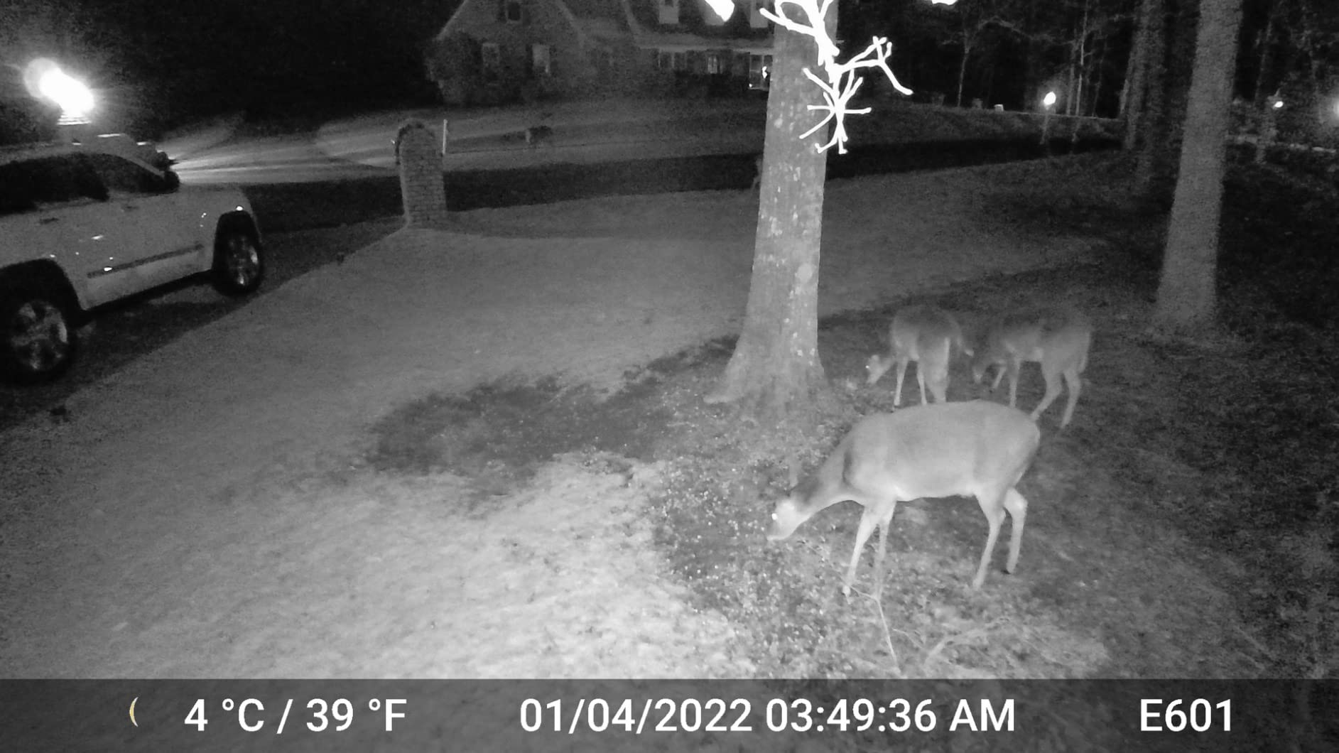GardePro E6 WiFi Trail Camera, Stable WiFi with External Antenna customer photo 2