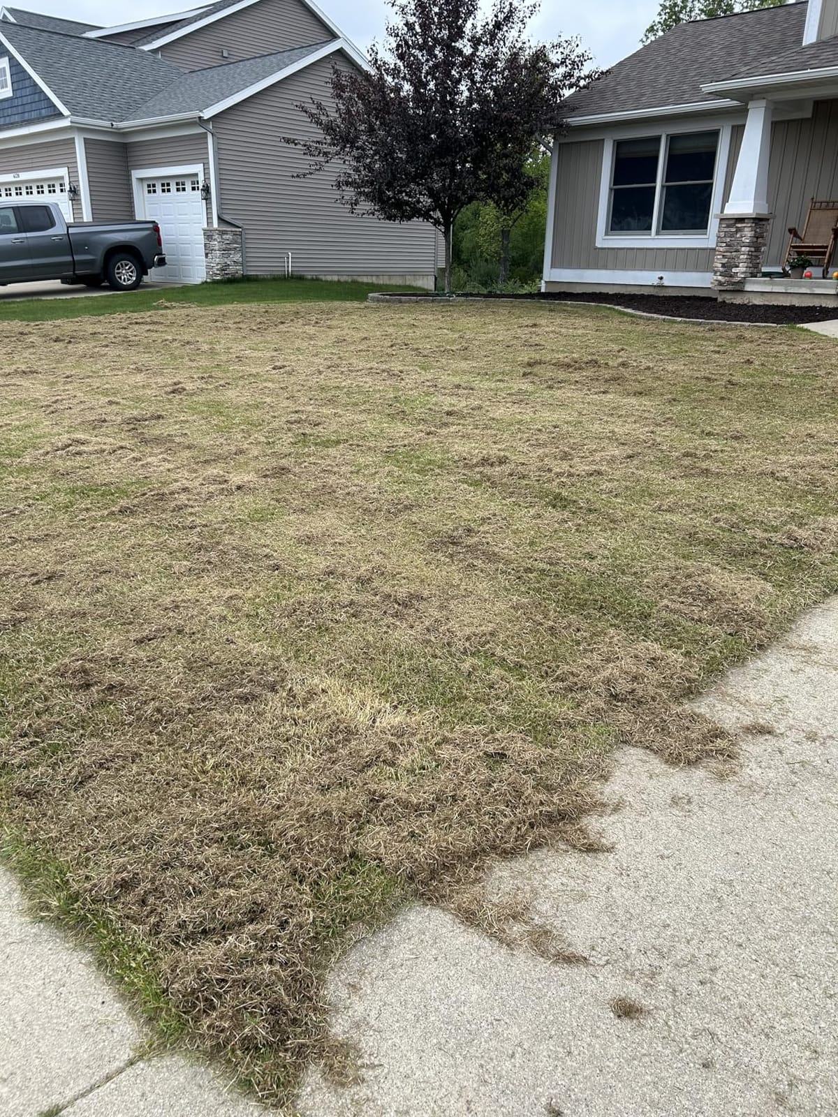 Sun Joe 15-Inch Lawn Dethatcher with Scarifier Blade Reel, AJ805E customer photo 2