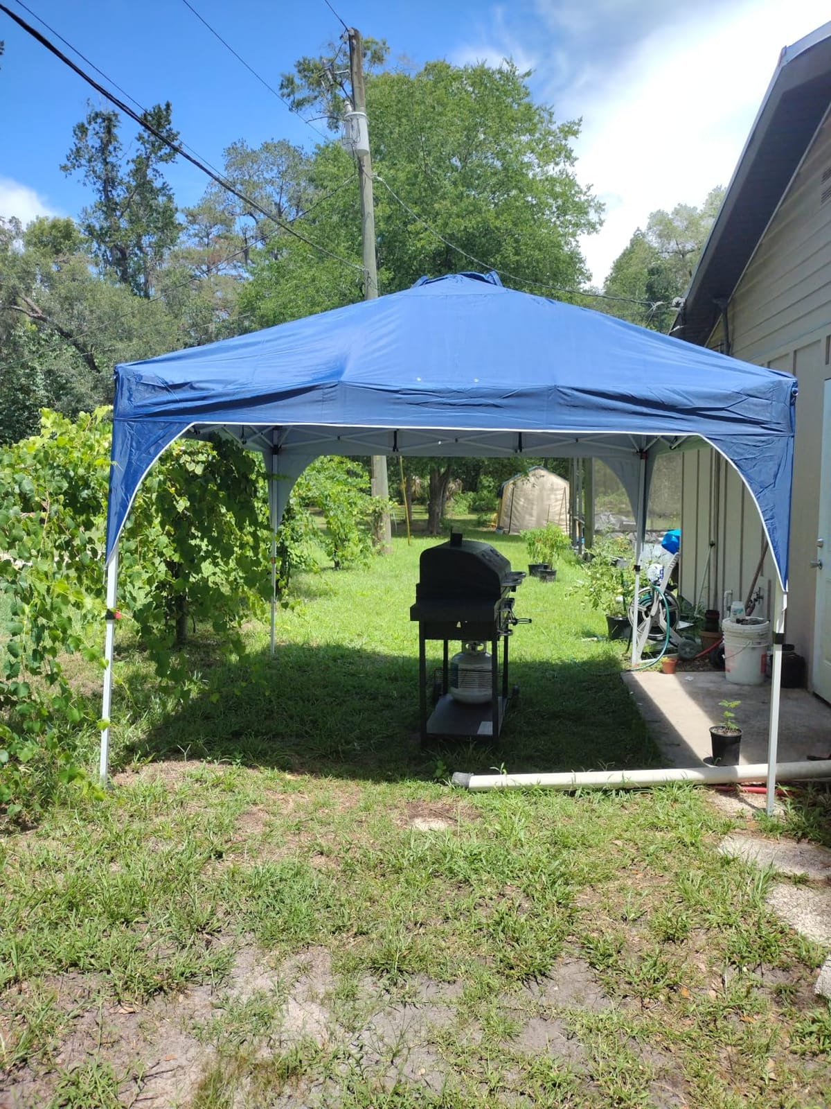 Yaheetech 10x10 Pop Up Canopy Tent for Outdoor Events, White customer photo 2