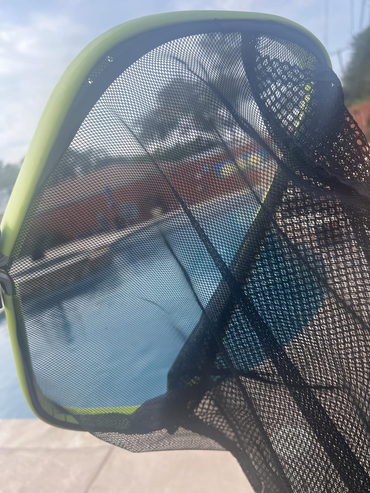 Sepetrel Pool Net,Professional Swimming Pool Leaf Skimmer Nets for Cleaning with Double-Layer Deep Big Bag,Heavy Duty Aluminum Frame & Handle Rake(Pole Not Included) customer photo 2