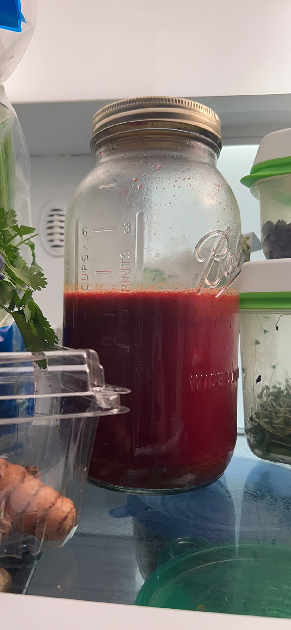 nutribullet Slow Juicer, Slow Masticating Juicer Machine, Easy to Clean, Quiet Motor & Reverse Function, BPA-Free, Cold Press Juicer with Brush, 150 Watts, Charcoal Black, NBJ50300, 24-oz customer photo 2