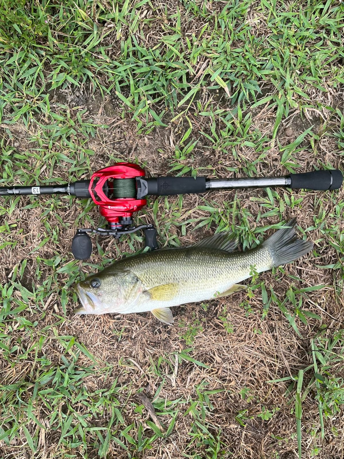KastKing Spartacus II Baitcasting Fishing Reels with 7.2:1 Gear Ratio customer photo 1