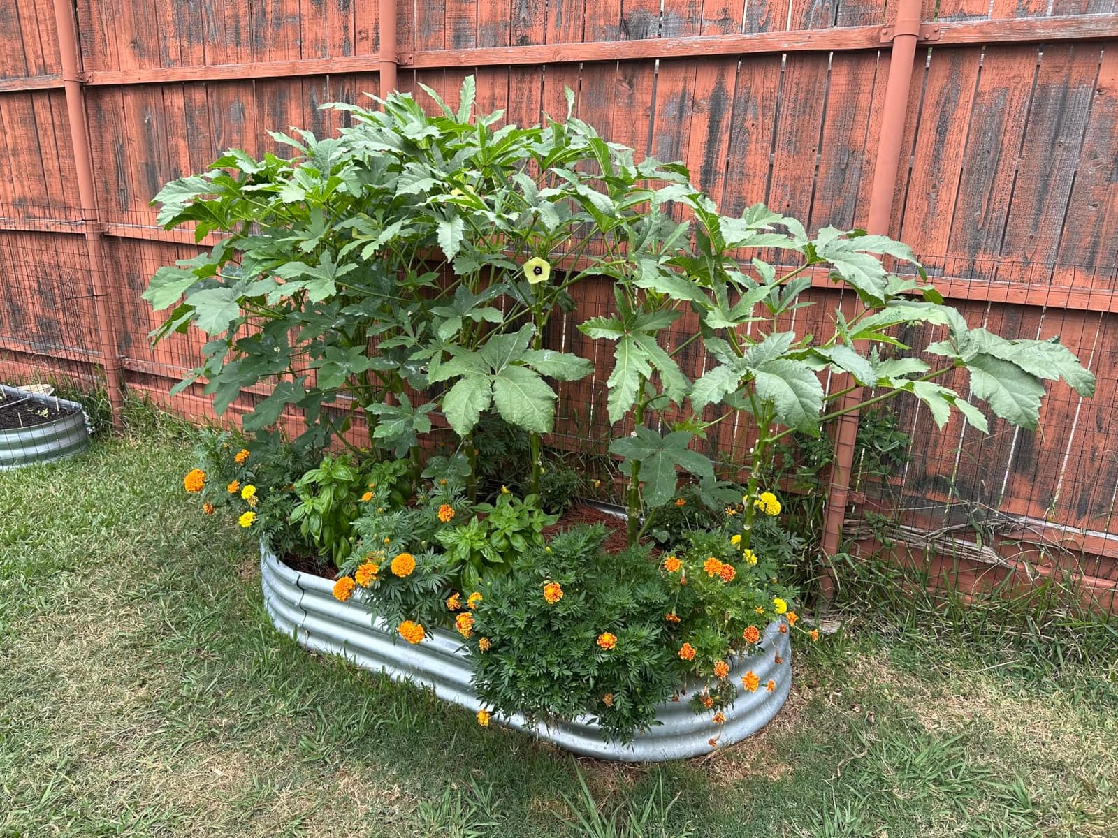 Land Guard Galvanized Raised Garden Bed Kit, Galvanized Planter Garden Boxes Outdoor, Oval Large Metal Raised Garden Beds for Vegetables………… customer photo 2