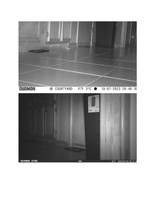 CEYOMUR Trail Camera, 36MP HD Trail Cam with Night Vision Motion Activated customer photo 2