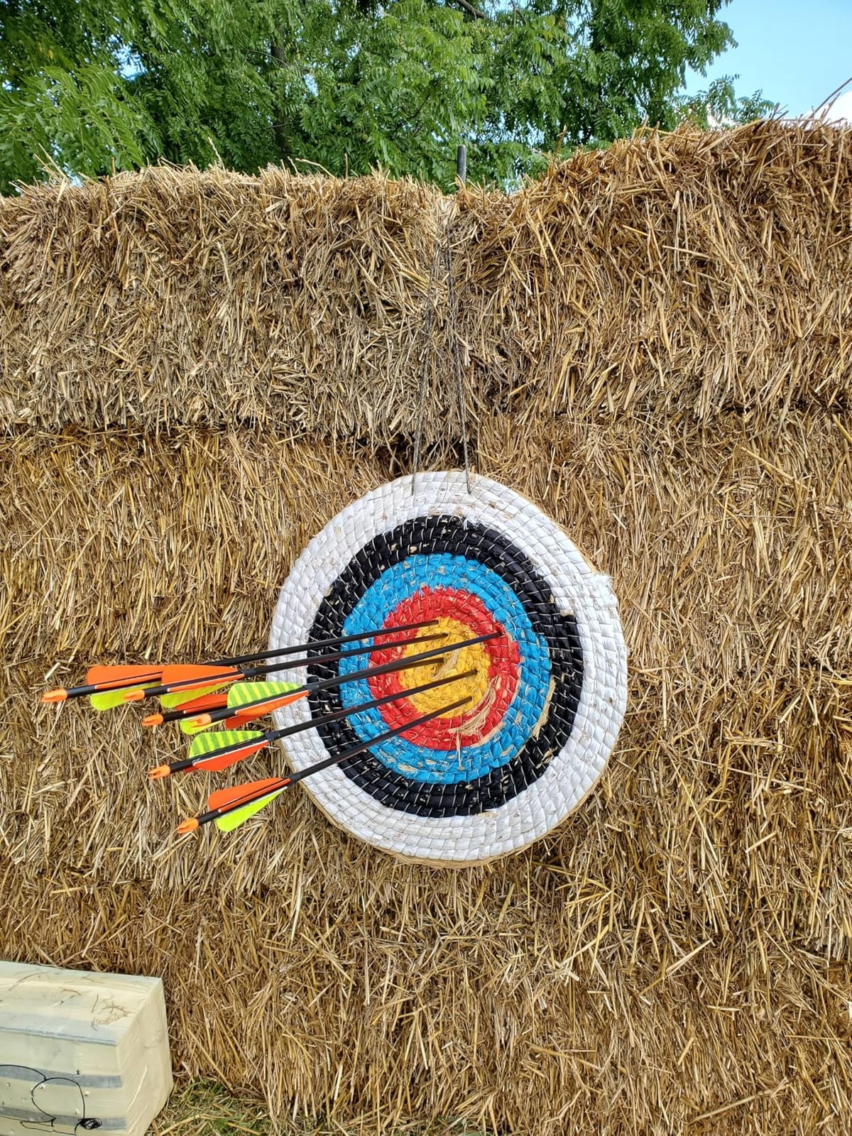 Archery Target - Backyard Straw Archery Target for Recurve Compound or Longbow - 20 Inch Traditional Bow Arrow Target for Kids Youth Adult Archery Hunting Practice customer photo 2