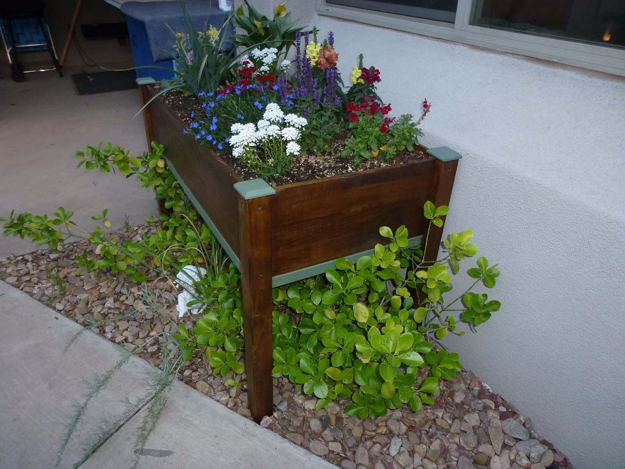 Raised Garden Bed with Legs, 48×24×30 Cedar Wood Elevated Planter Box customer photo 1