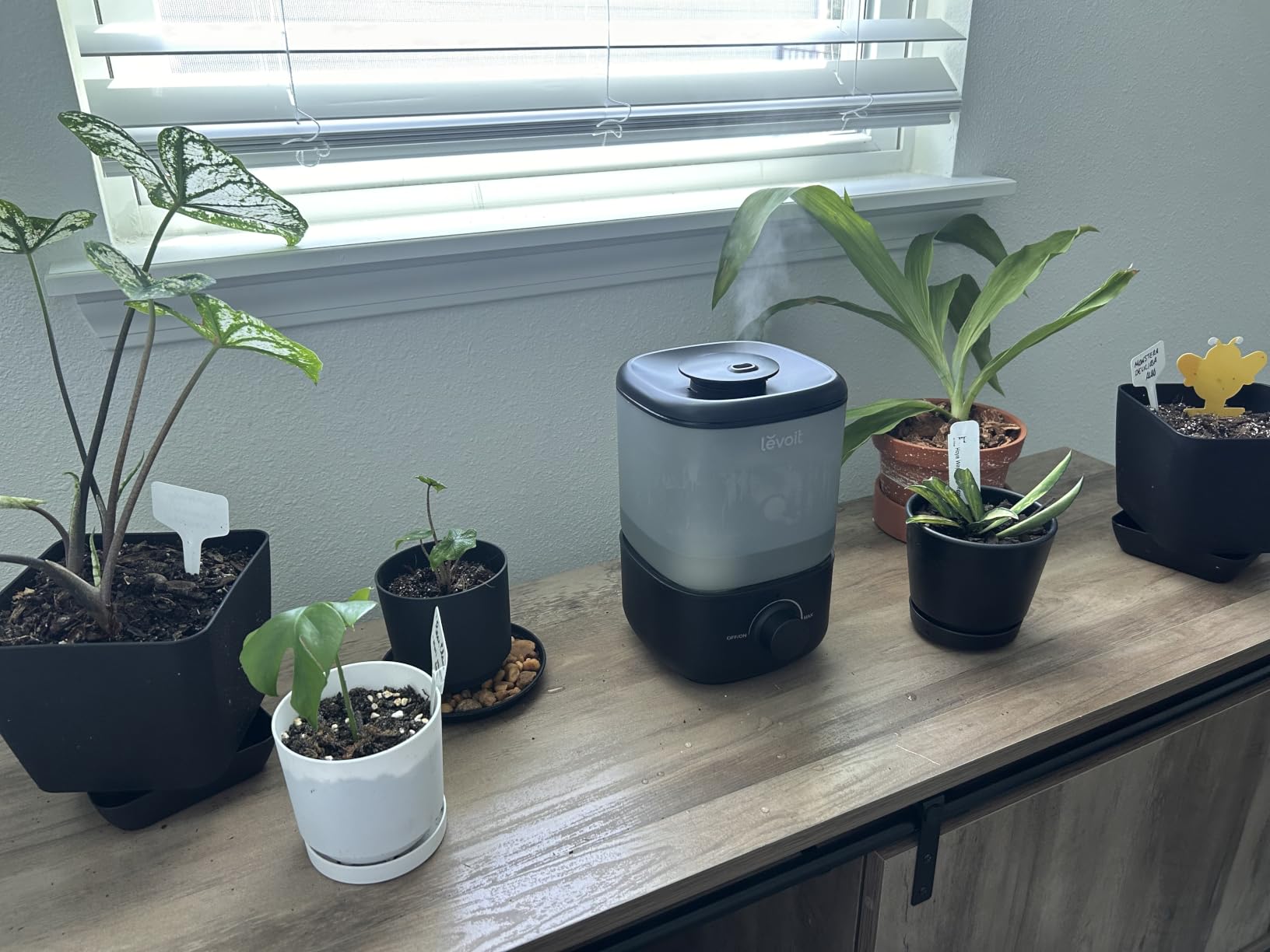 LEVOIT Humidifiers for Bedroom, Quiet, 3L Cool Mist, Essential Oil Diffuser customer photo 1