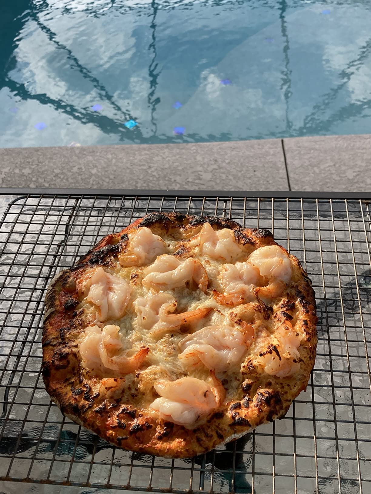 Commercial Chef Outdoor Gas Pizza Oven – Portable Propane Pizza Maker with Door, Peel, Stone, Cutter, and Cover - L-Shaped Burner, Foldable Legs customer photo 1