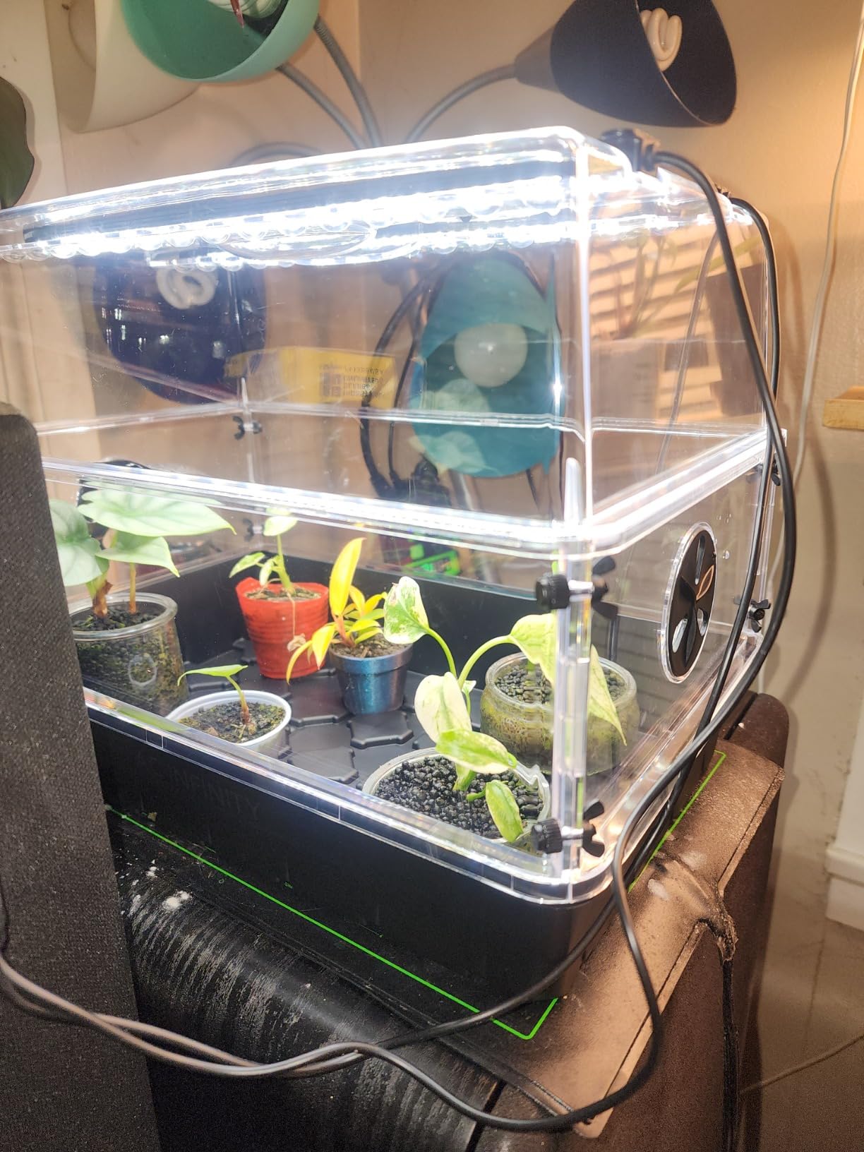 AC Infinity Humidity Dome 5x8, Heavy-Duty 3mm Seed Starter Propagation Kit customer photo 1