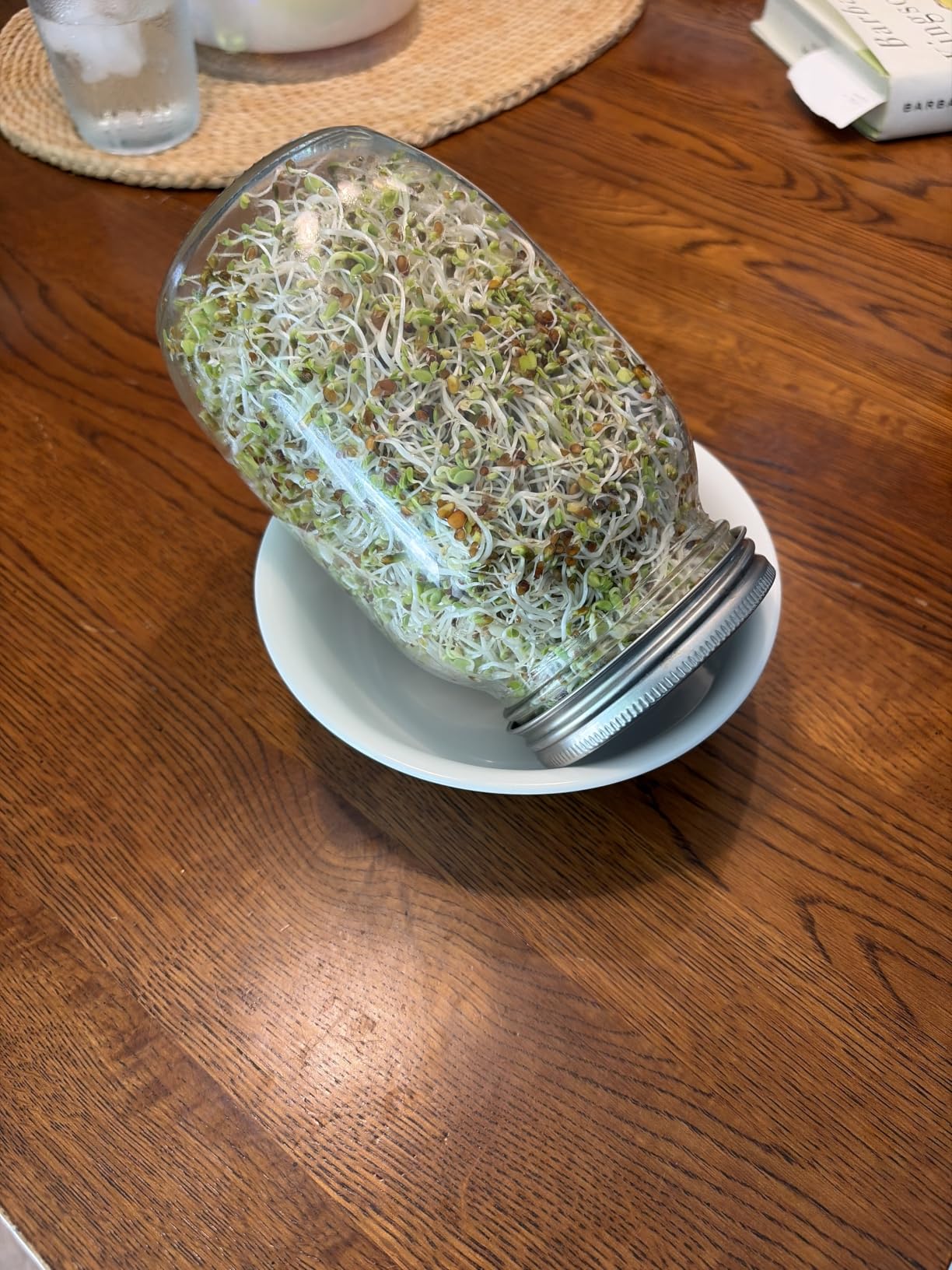 Premium Sprouting Jar Kit 2-Wide Mouth Mason Jars with Mesh Sprout Lids customer photo 2