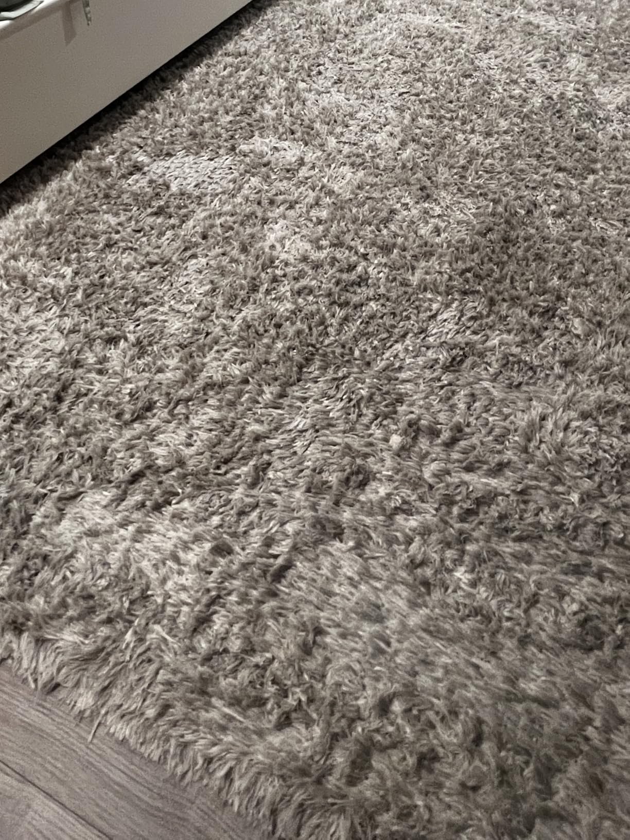 BISSELL ProHeat 2X Revolution Pet Pro Plus Carpet Cleaner, 3588F customer photo 1