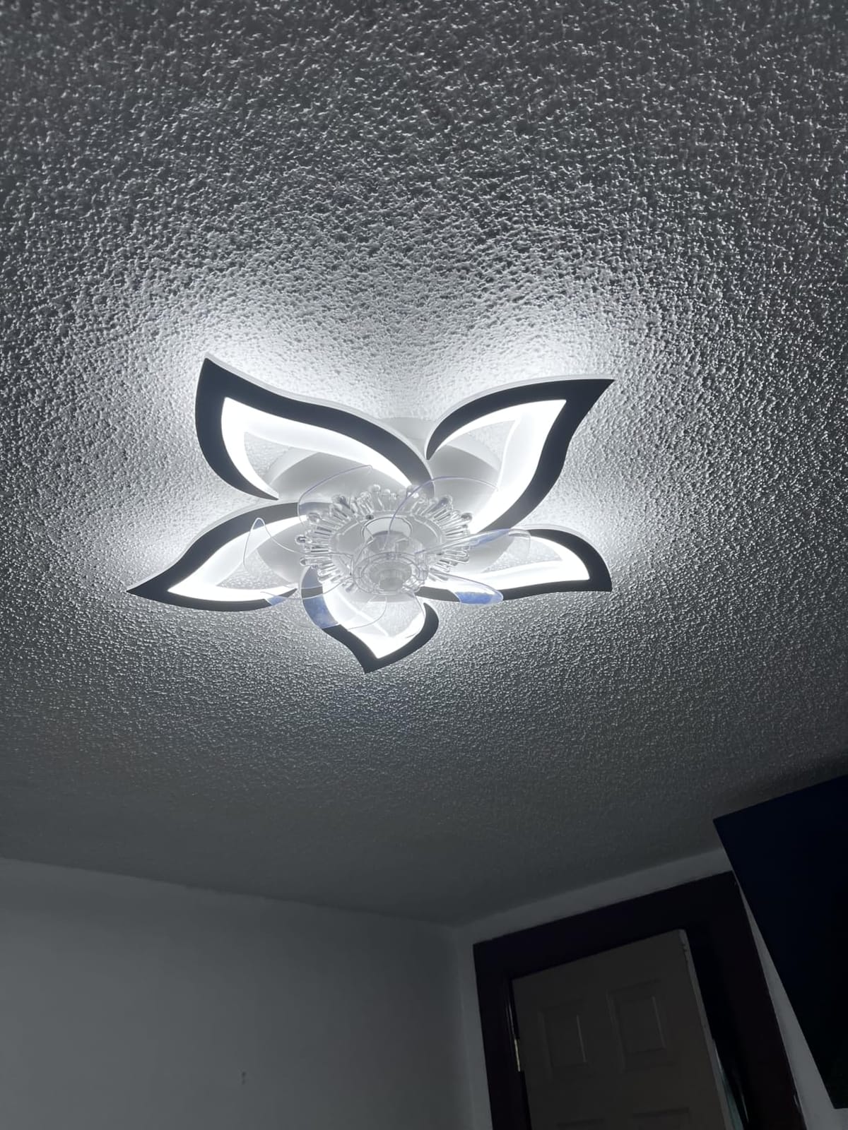 Bevenus Low Profile Ceiling Fan with Lights,110v Modern Dimmable Flower Shape, Remote Control/app Control,Timing 6 Gear Speeds Fan Ceiling Lamp. customer photo 1