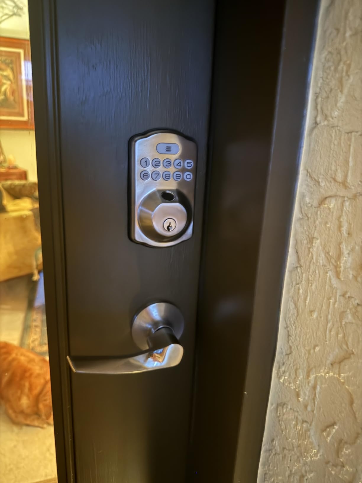 Veise KS02B Fingerprint Door Lock with 2 Lever Handles, Matte Black customer photo 1