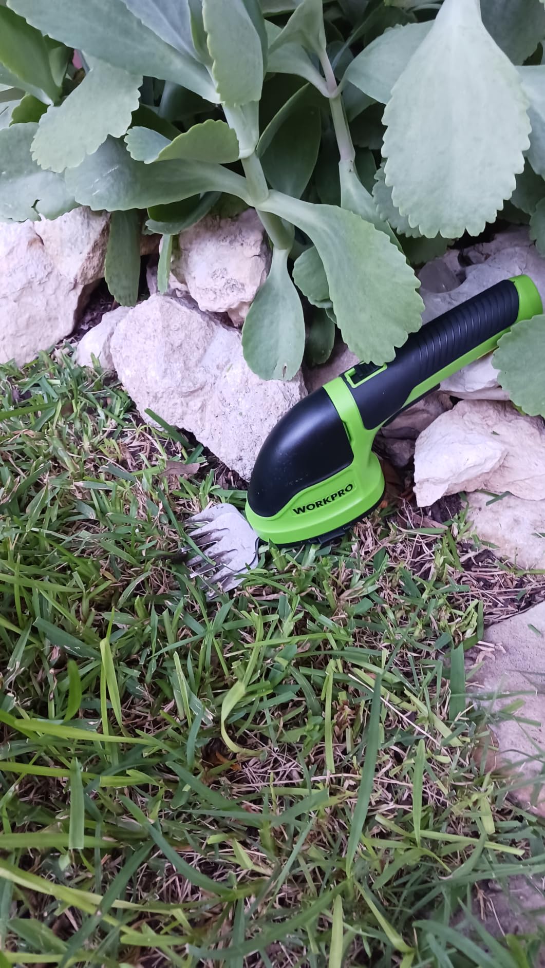 WORKPRO 3.6V Cordless Grass Shear & Shrubbery Trimmer, Green customer photo 1