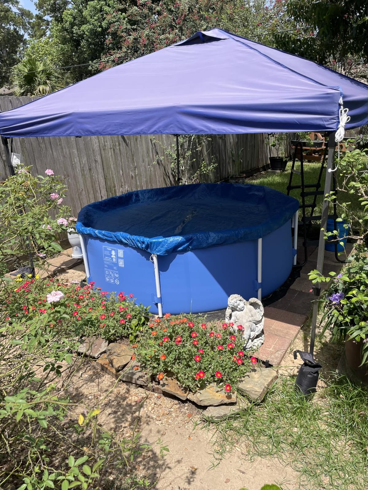 Funsicle Activity 8'x30 Above Ground Swimming Pool with Pump, Blue customer photo 2