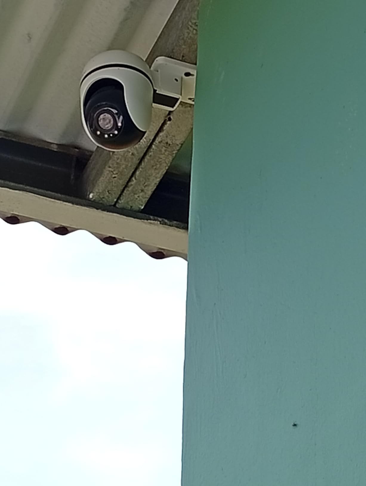 Tapo 1080P Outdoor Wired Pan/Tilt Security Wi-Fi Camera, 360° View, Motion Tracking, Works with Alexa & Google Home, Night Vision, Free AI Detection, Cloud & SD Card Storage(up to 512GB), Tapo C500… customer photo 1