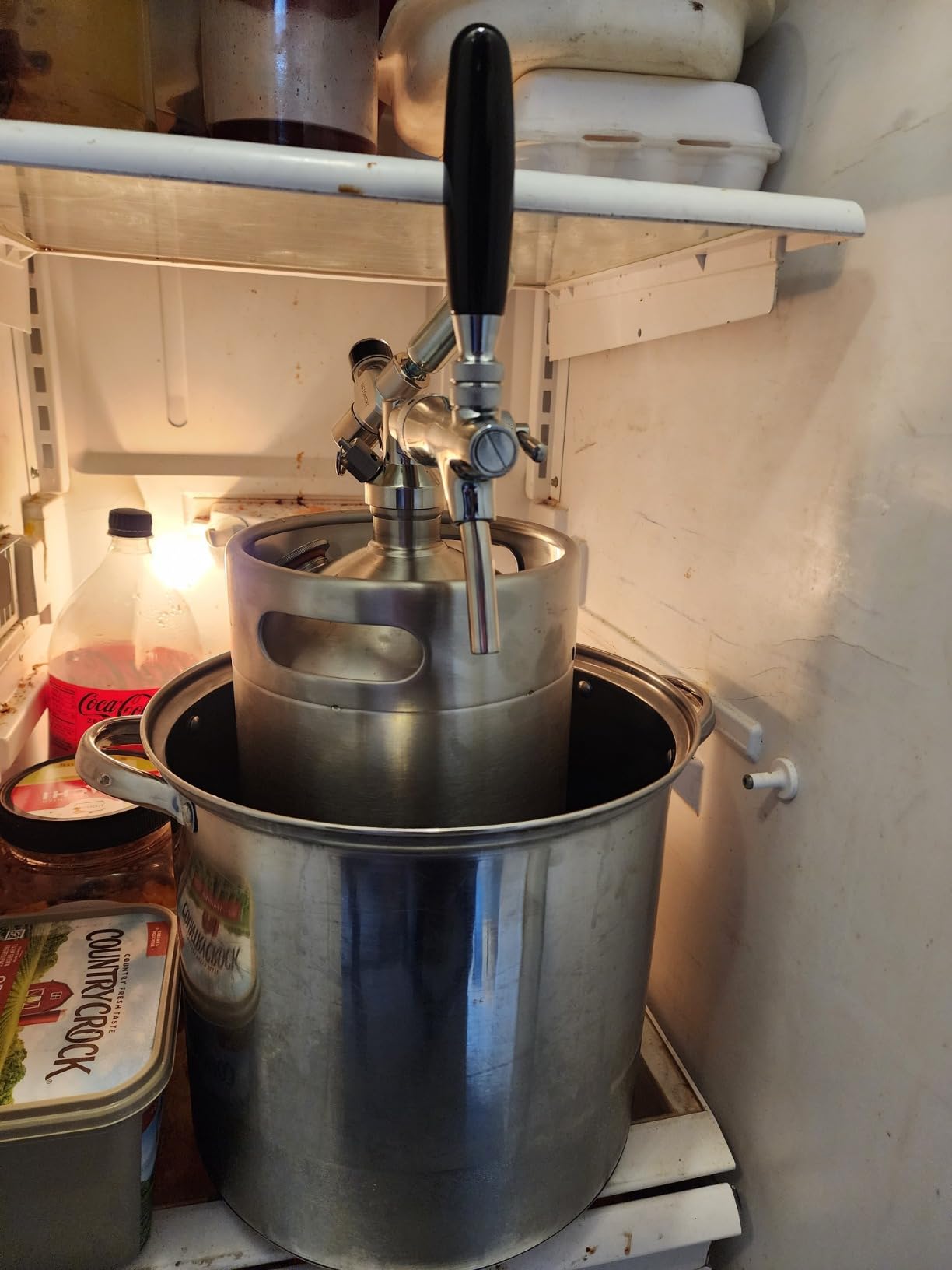 GANCOWISE 270OZ Mini Keg Growler, Pressurized Home Dispenser System customer photo 1