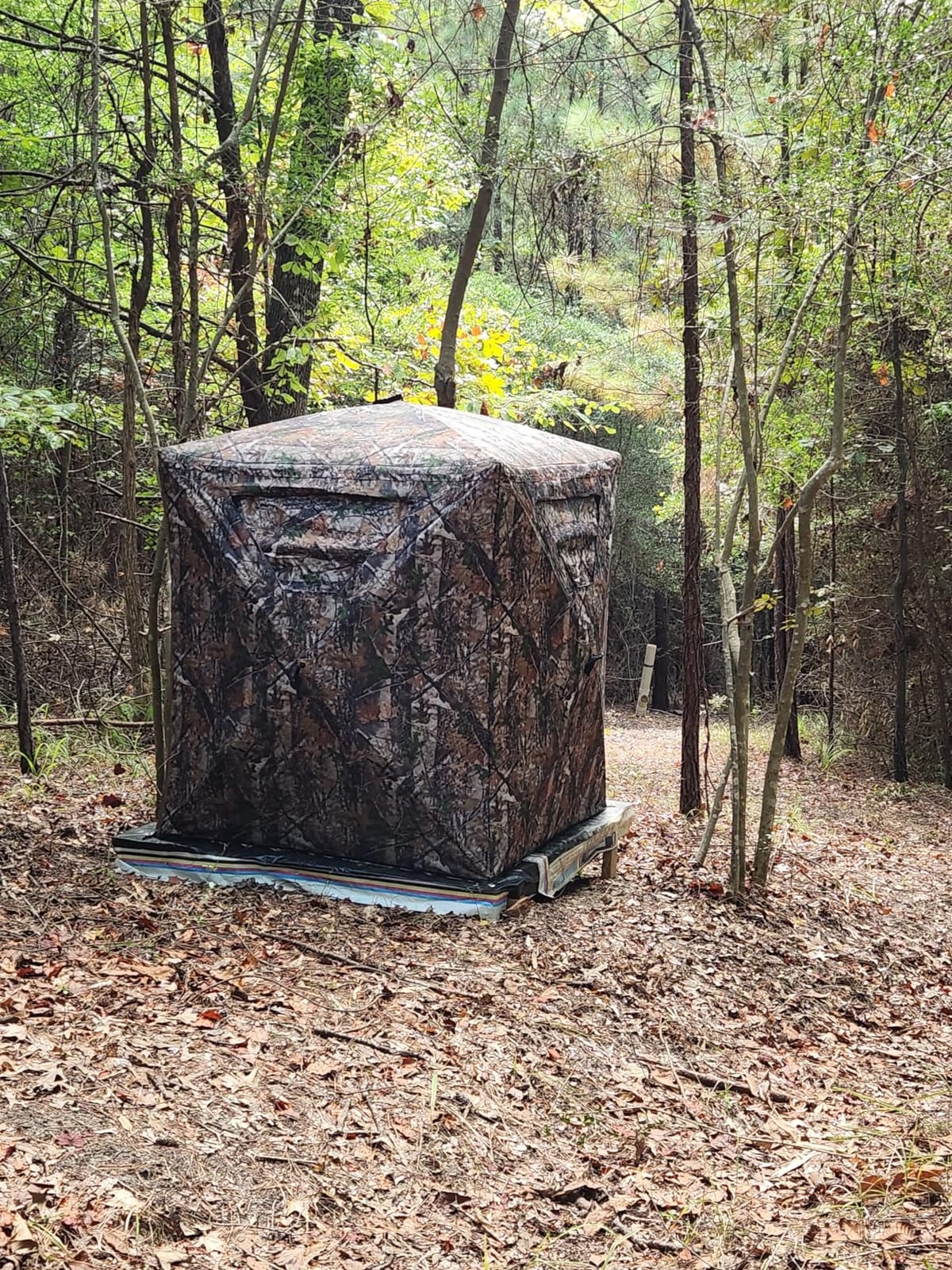 Lenotos Hunting Blind, 2 Person Pop Up Blinds 360 Degree See Through, Portable Durable Hunting Ground Blinds for Deer & Turkey Hunting customer photo 2