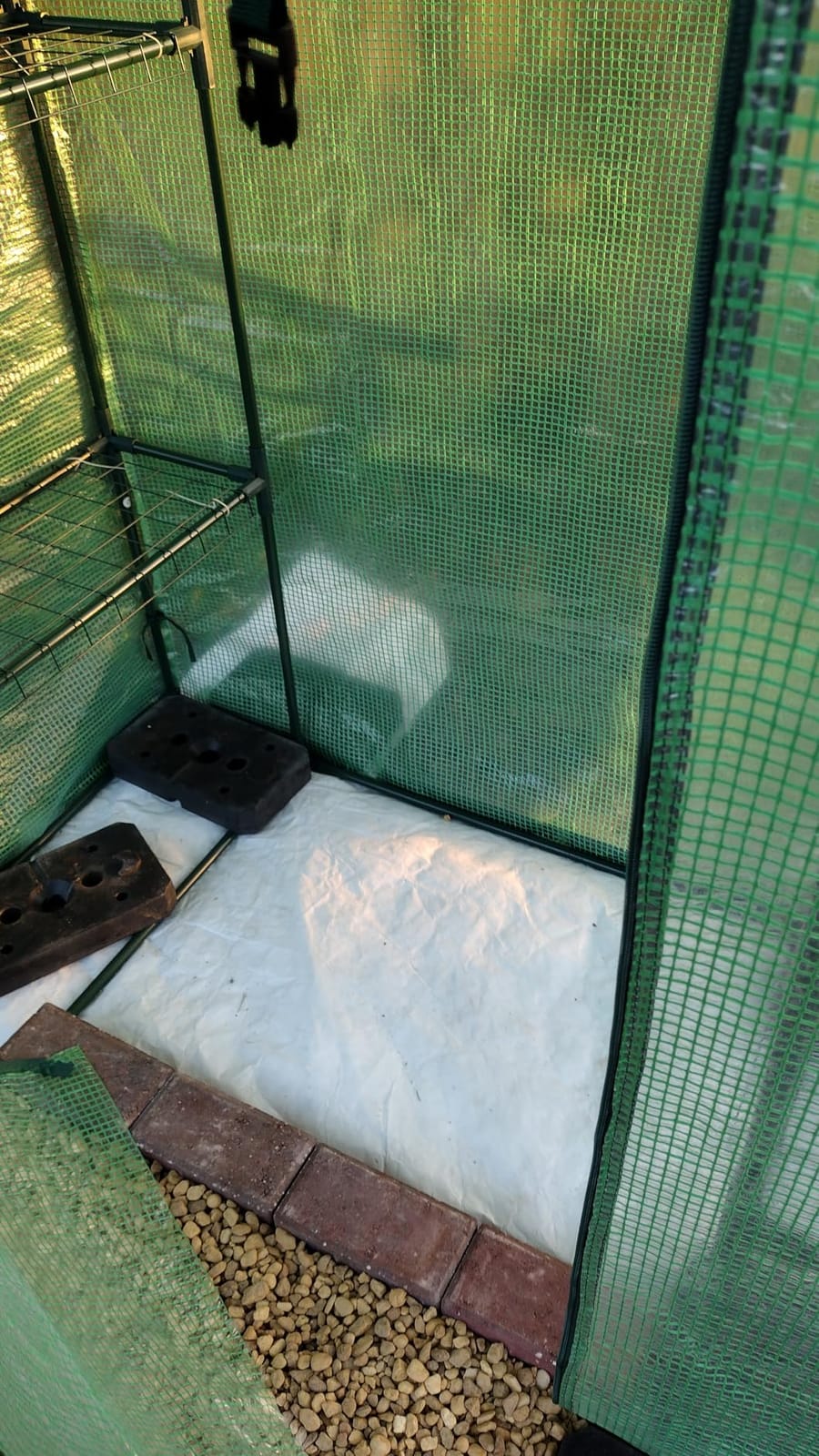 VEVOR Walk-in Greenhouse, 55.5