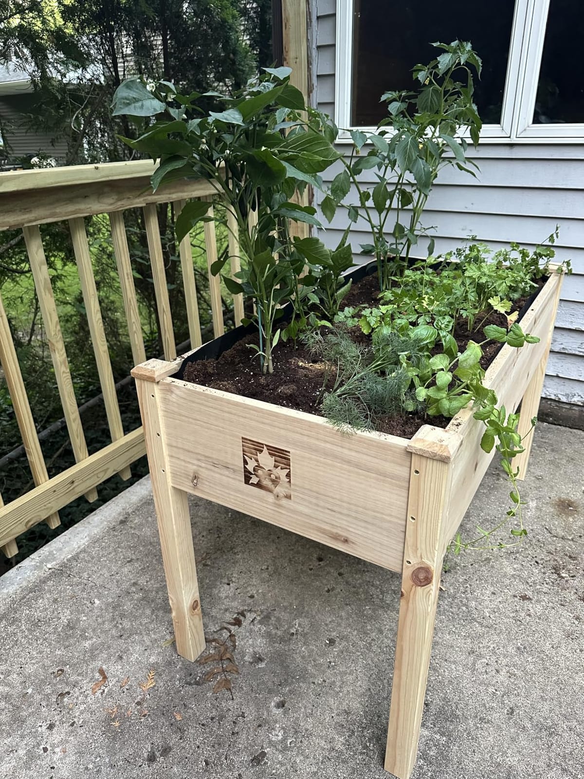 Cedar Raised Garden Bed with Legs, Outdoor Planter Box 48x24x30, 200lb customer photo 2