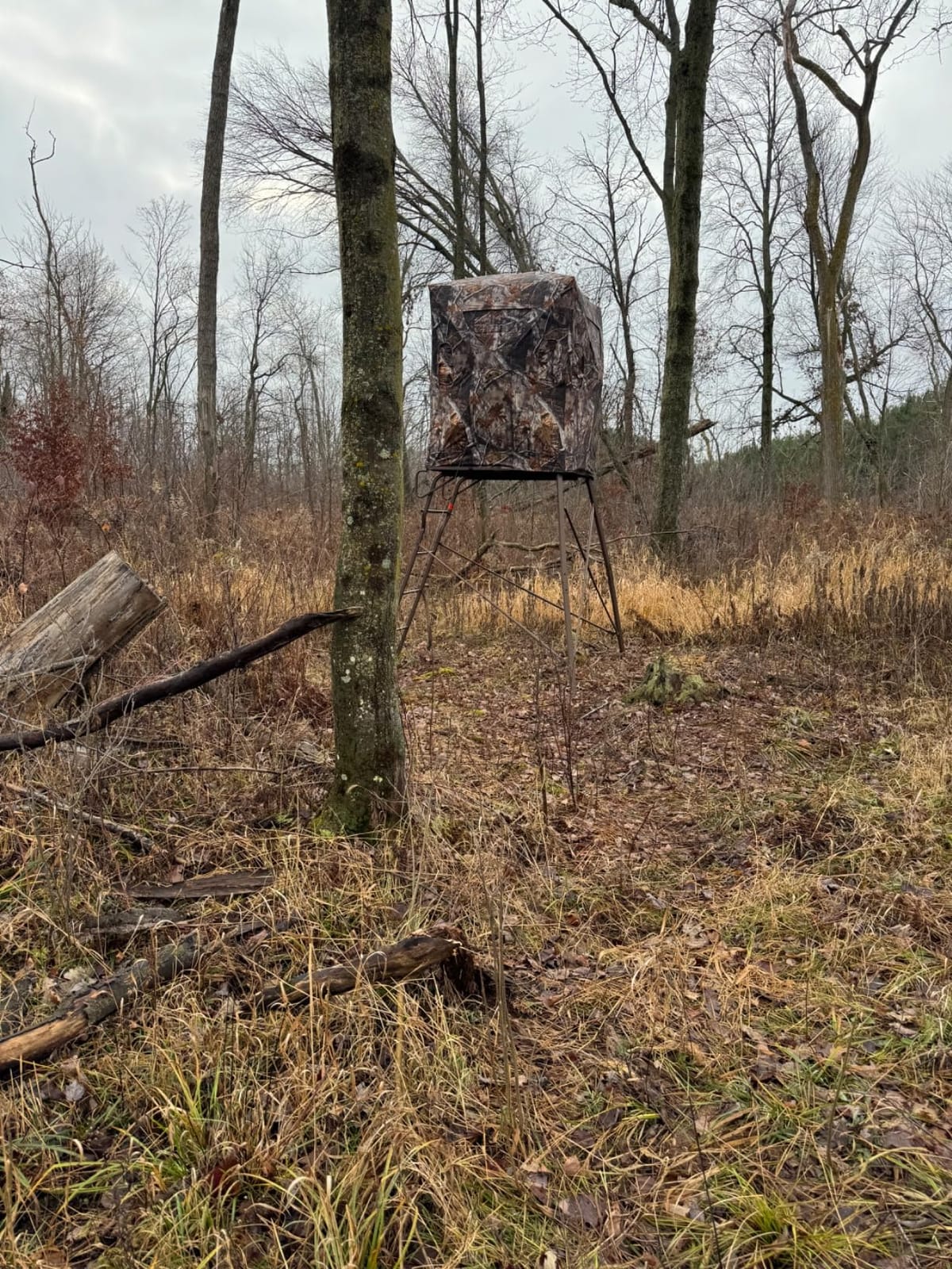 VENATIC 6' Tripod Hunting Tower Blind, 2 Person Hunting Stand with 4' x 4' Platform for Deer Hunting, Antelope and Elk customer photo 2