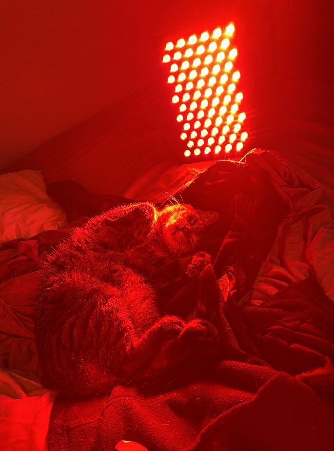 Hooga Red Light Therapy Panel Device – 630nm 660nm 810nm 850nm Red & Near Infrared Light Therapy, LED Light Therapy Lamp, 72 Quad Chip LEDs, Adjustable Brightness, Pulse Mode – ULTRA360 customer photo 1