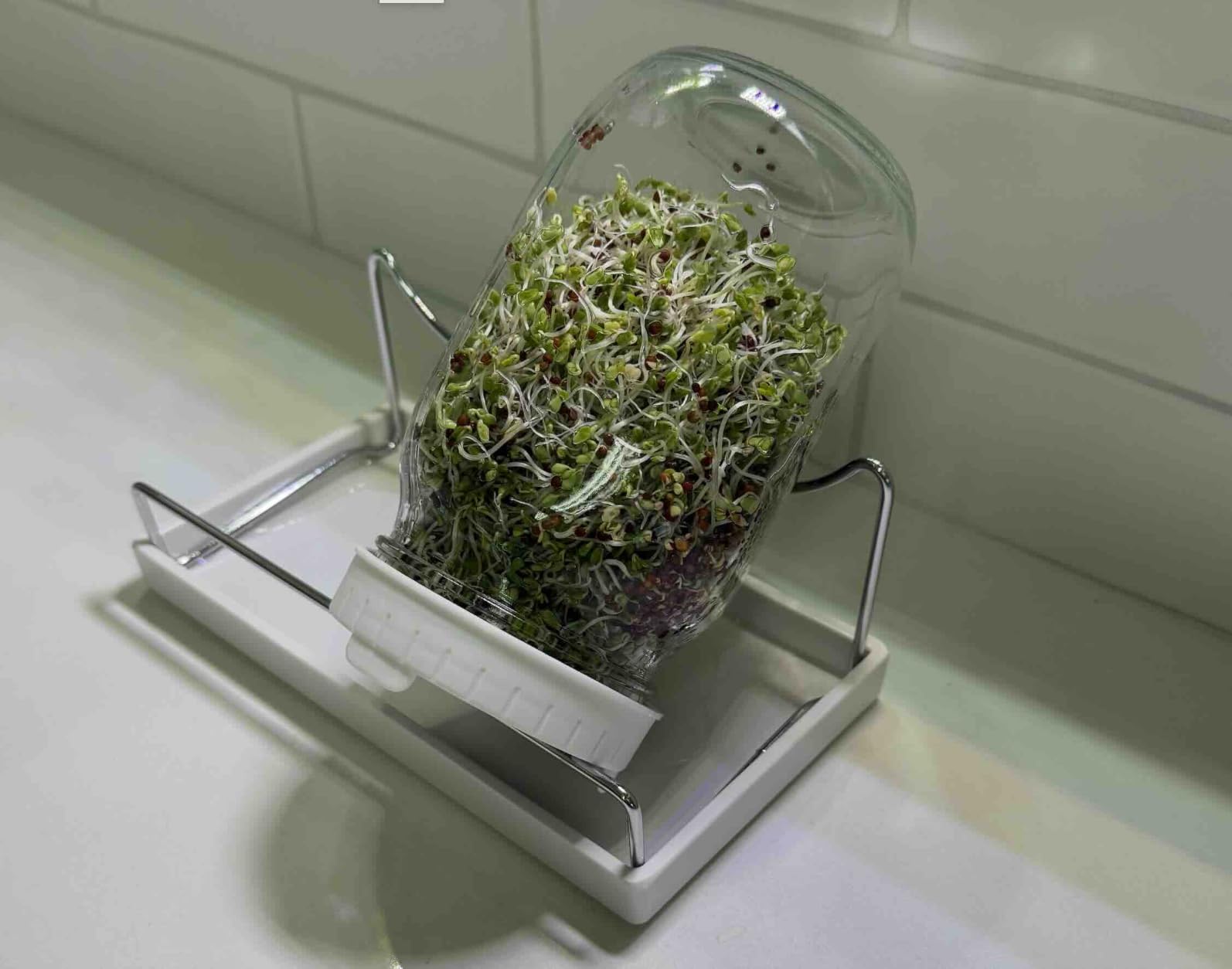 Sprouting Jar Kit - 2 Wide-Mouth Mason Jars with Stand and Sprout Lids customer photo 1