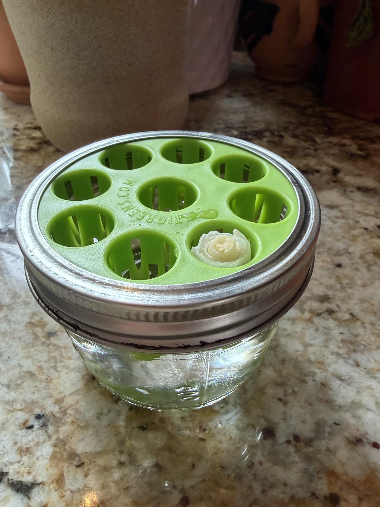 Sprouting Jar Kit - 2 Wide-Mouth Mason Jars with Stand and Sprout Lids customer photo 2