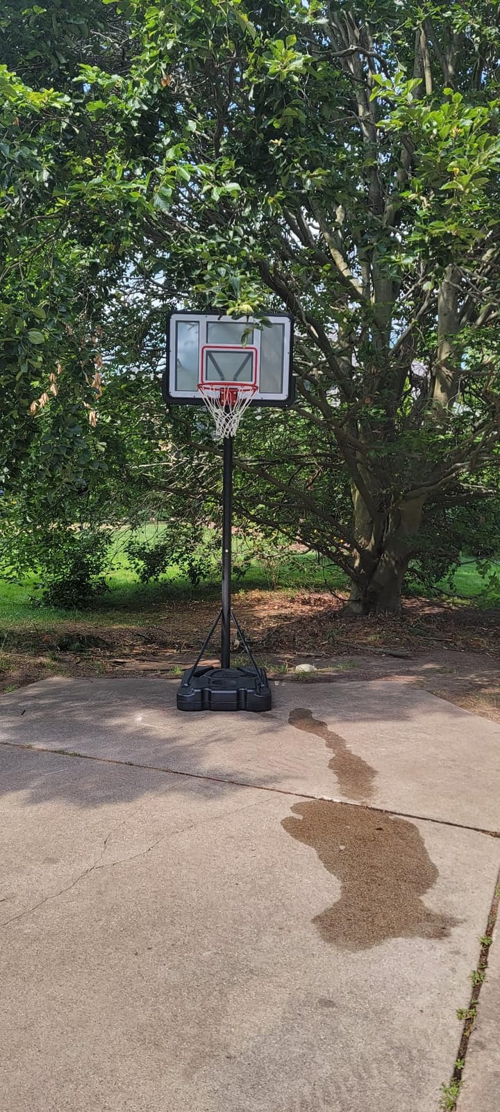 Best Choice Products 10ft Regulation Basketball Hoop, Height Adjustable Outdoor Goal w/Shock Absorbent Rim, Base Gel, 2 Wheels customer photo 2