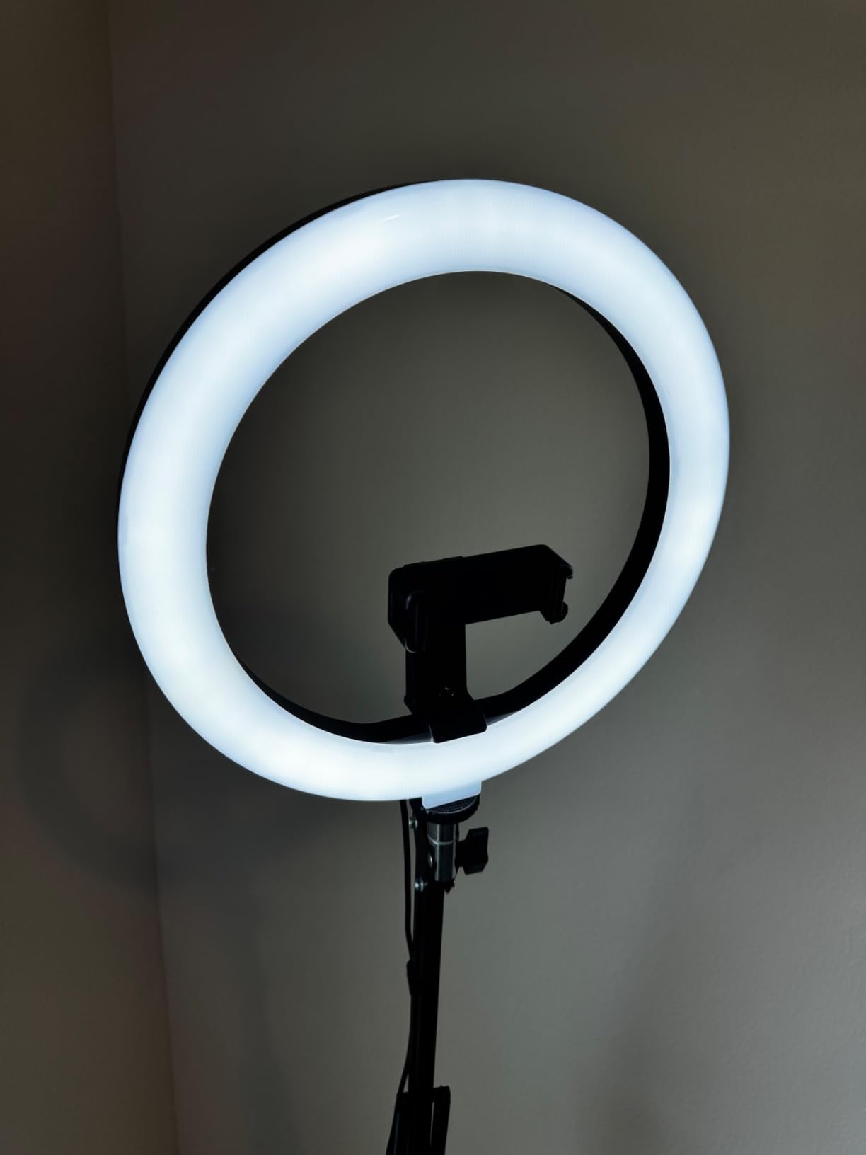 Ring Light with Stand Tripod for iPhone – Evershop 10” Overhead Camera Mount, 70.8” Tall Adjustable Selfie Light with Phone Holder for Video Recording, Photography, Streaming, TikTok, YouTube customer photo 2