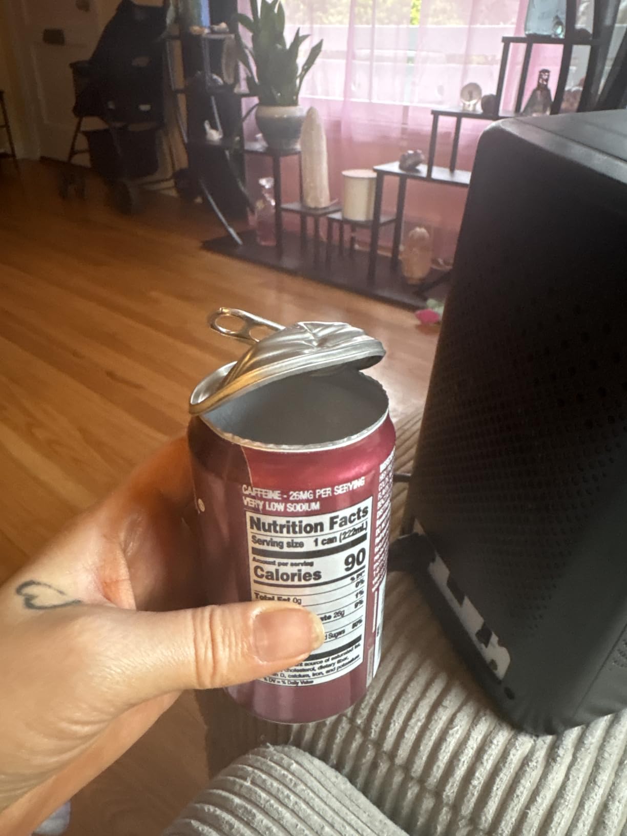 AstroAI 2.0 Gen 6L/8 Cans Mini Fridge, Cooler & Warmer, 110V AC/12V DC customer photo 1