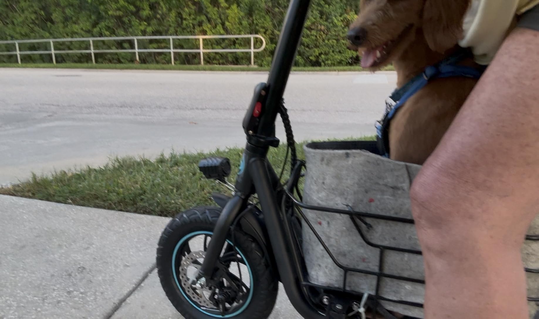 Gyroor Electric Scooter with Seat for Adults 20 Miles Range customer photo 2
