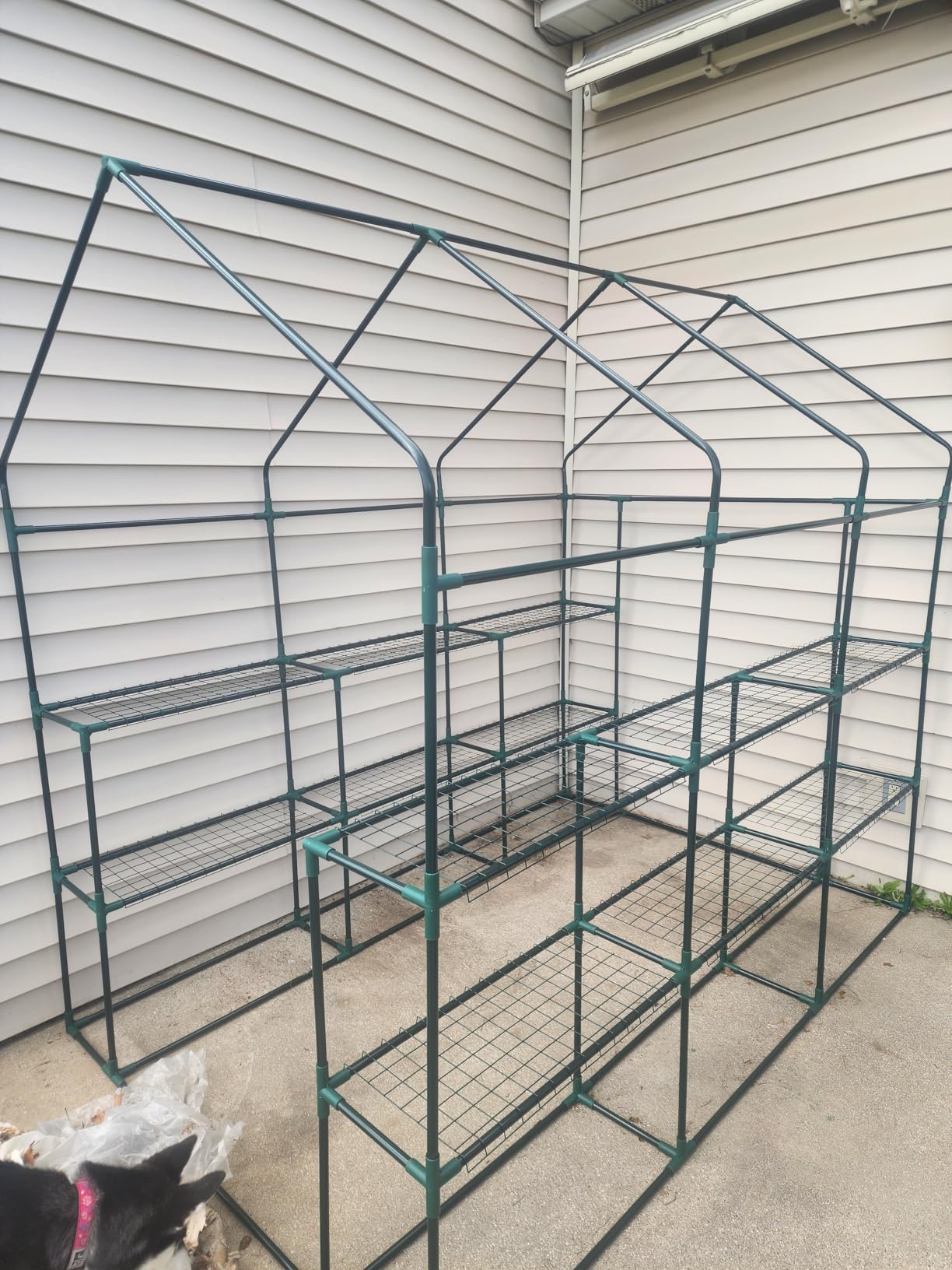 SPECILITE 56×56×78Inch Walk-in Greenhouse for Outdoors Garden Plant, Green customer photo 2