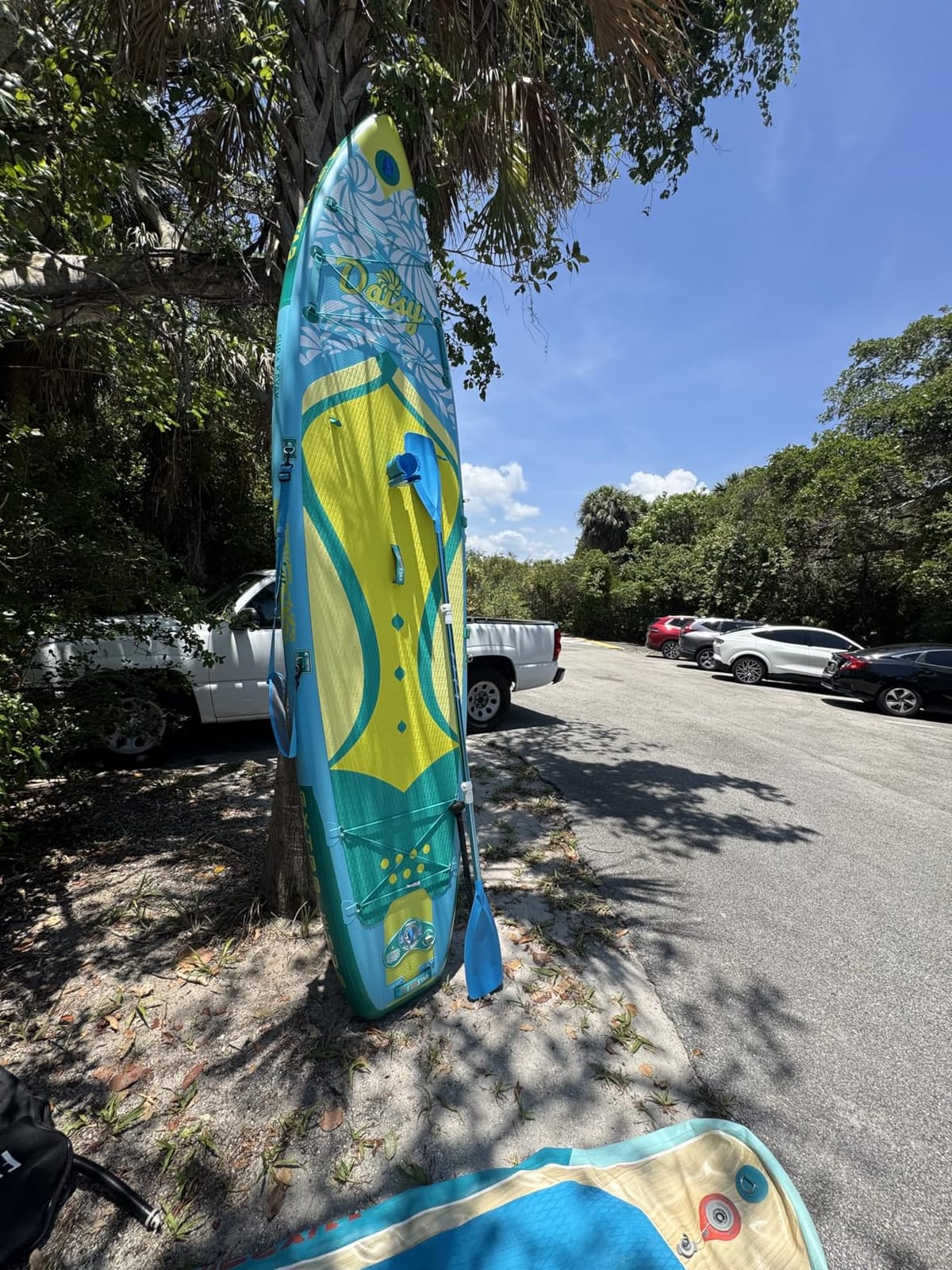 iTAOSTAR Daisy 11'6’ × 35” Extra Wide Paddle Board with Seat, One-Stop Premium SUP Board Accessories, Tailored 5 Fins, Stable Stand Up Paddle Boards for Youth of All Skill Levels customer photo 1