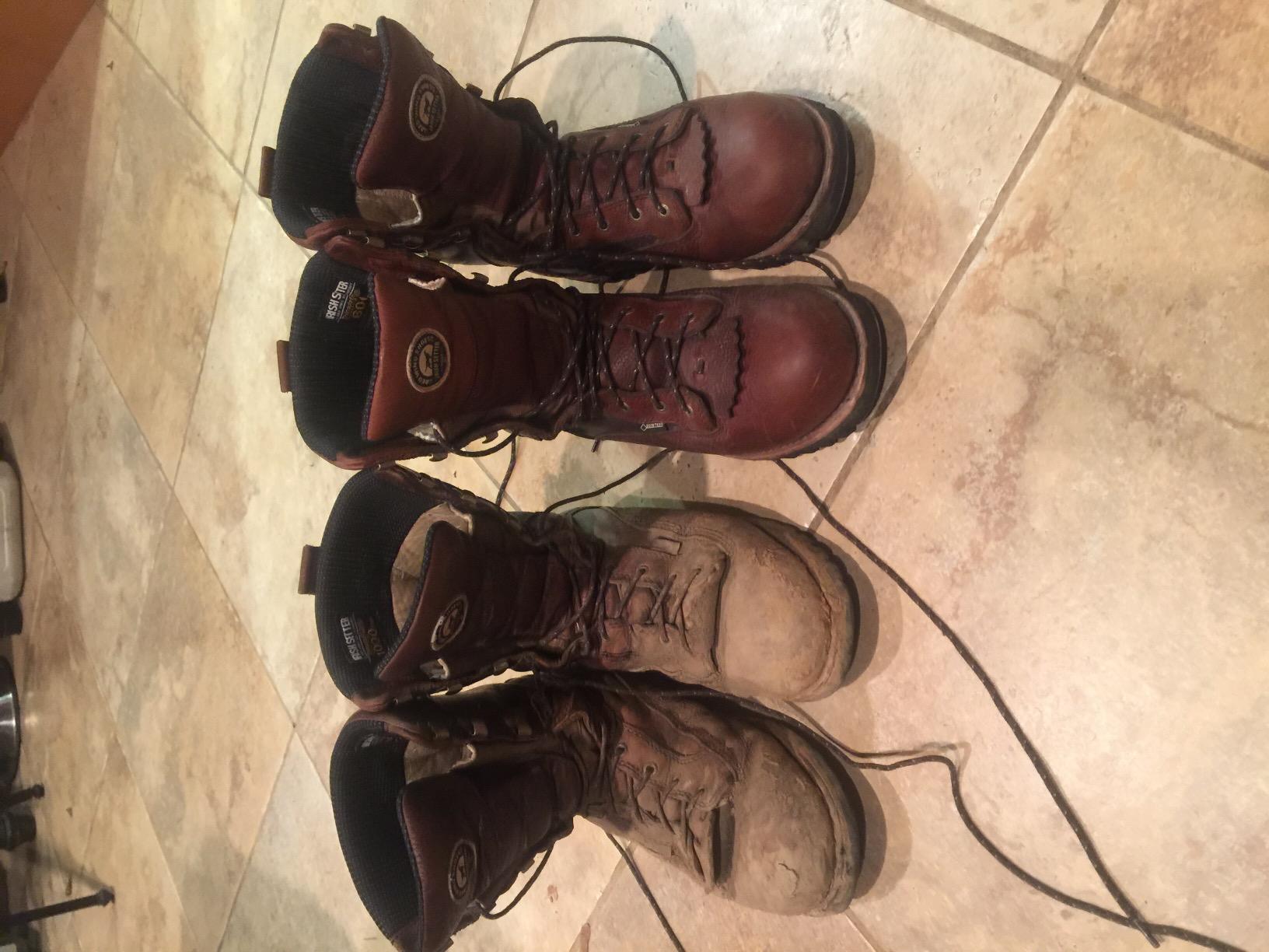 Irish Setter Elk Tracker 12