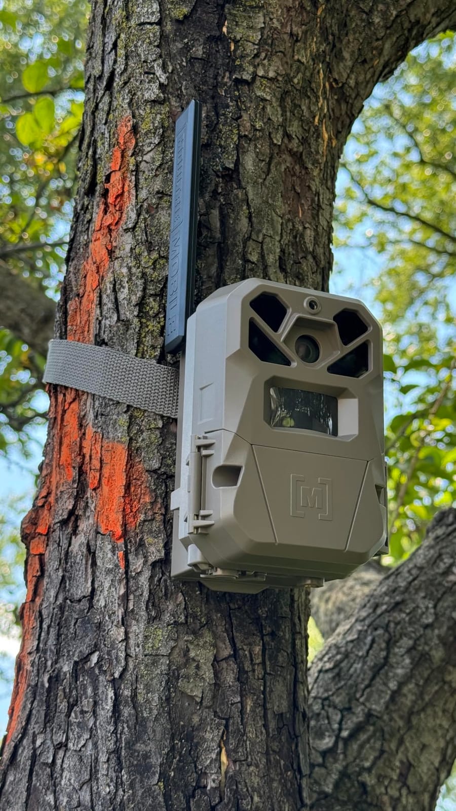 Moultrie Edge 2 Pro Cellular Trail Camera - Auto Connect Nationwide 4G LTE - On Demand 40MP Photo - 1440P Video with HD Audio - Ai False Trigger Elimination - 100 Ft Detection Range - No-Glow Flash customer photo 1