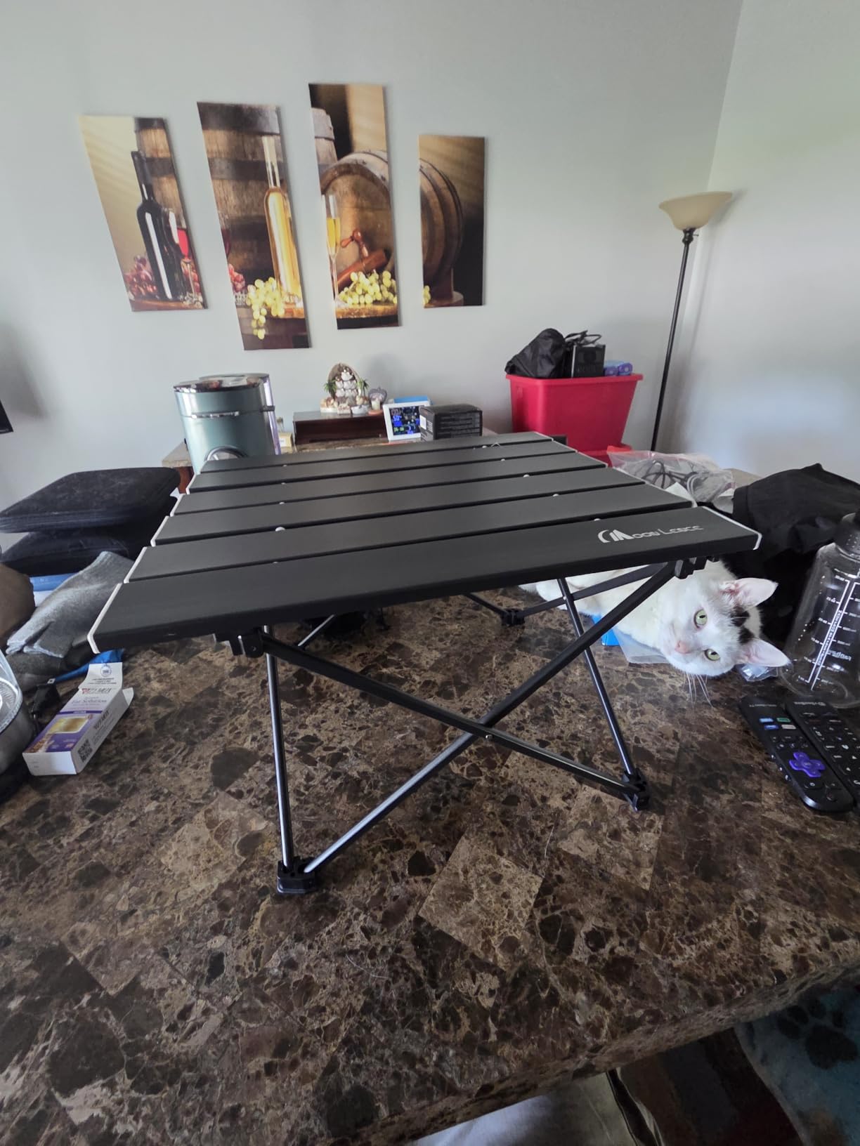 MOON LENCE Ultralight Folding Camping Table, Compact,Portbale with Carry Bag, for Outdoor Cooking, Picnic, Camp, Boat, Travel (Black - S) customer photo 1