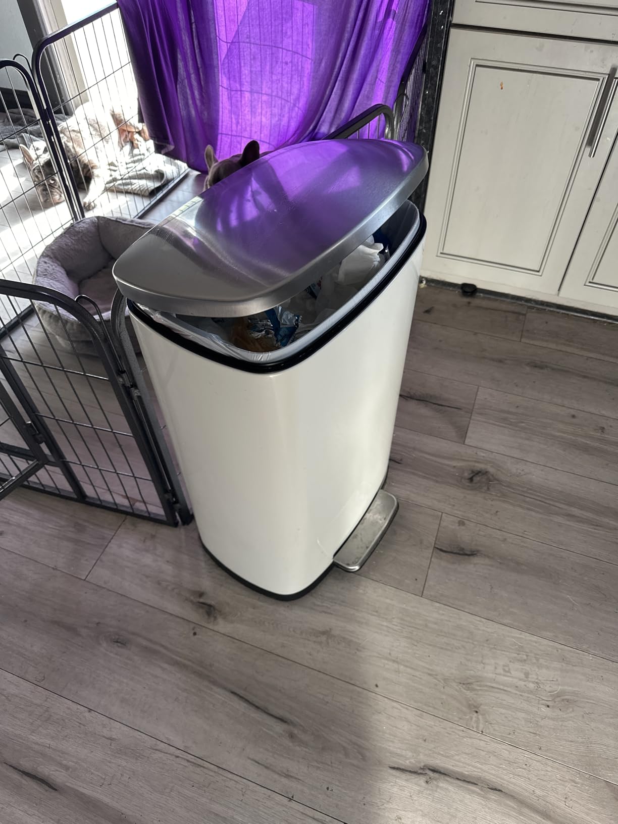 iTouchless 13.2 Gal / 50L Slim Step Pedal Kitchen Trash Can | Odor Filter customer photo 2