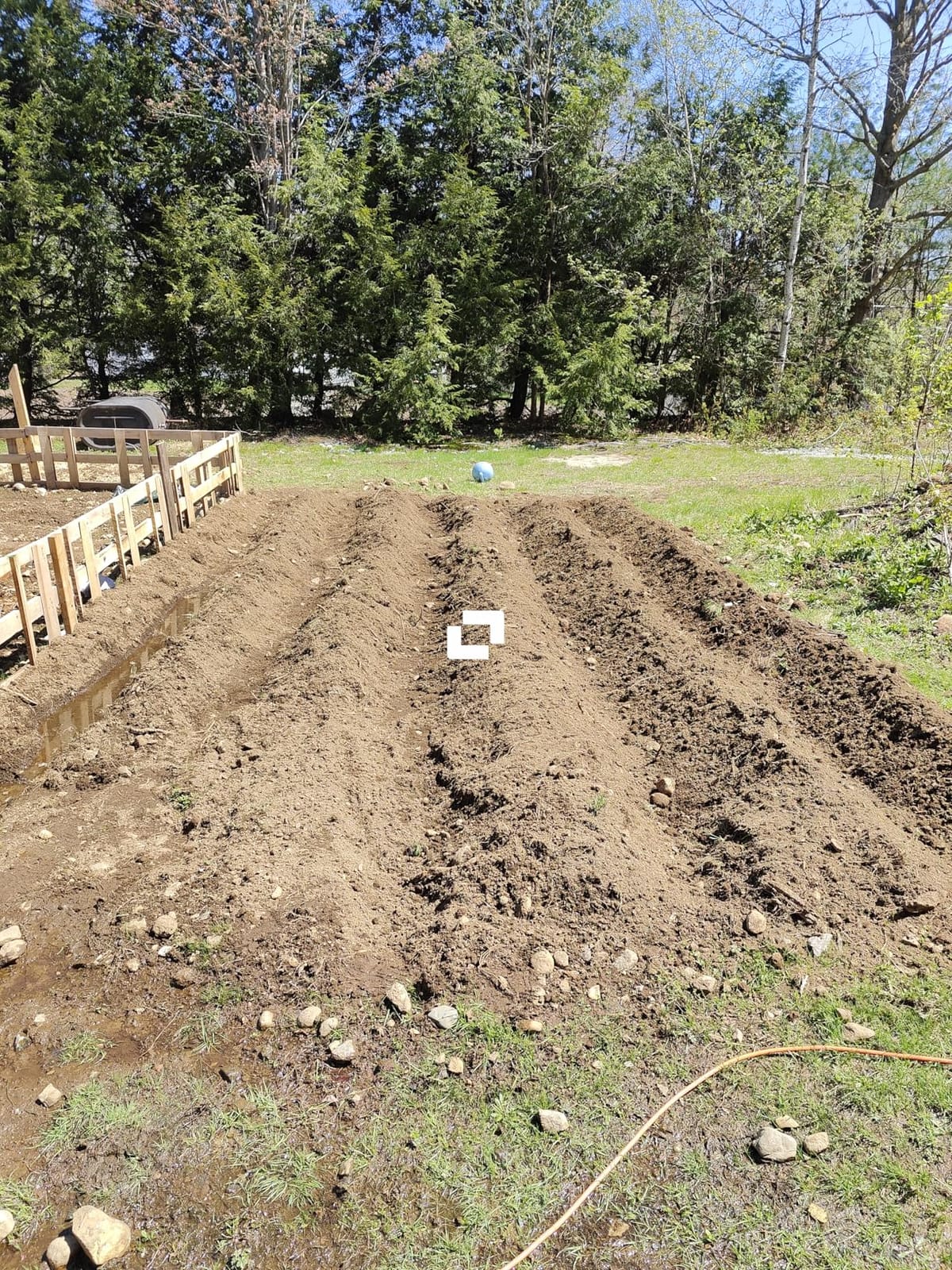 BILT HARD 18 Inch Electric Tiller Cultivator, Corded 15 Amp 6 Steel Tines Tillers for Gardening, Garden Rototiller for Soil Digging with Adjustable Wheels customer photo 2