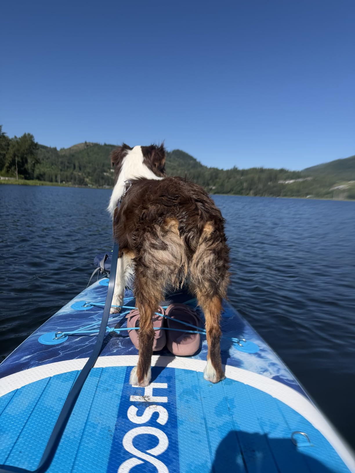 SLOOSH Inflatable Stand Up Paddle Board for Adult, Inflatable Paddle Boards with Premium Accessories, Non-Slip EVA Deck, Ultra-Light Carry Bag Pump, Blow Up SUP for All Skill Levels customer photo 2