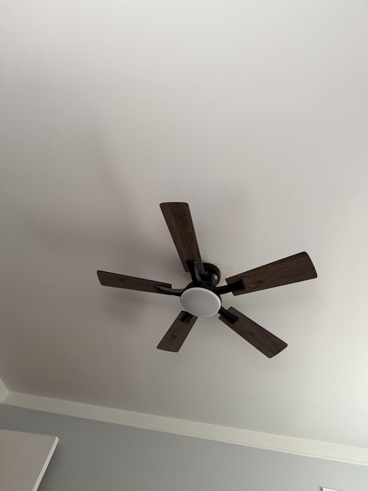 ZMISHIBO 52 Inch Ceiling Fans with Lights, Remote&App Control, Flush Mount customer photo 1
