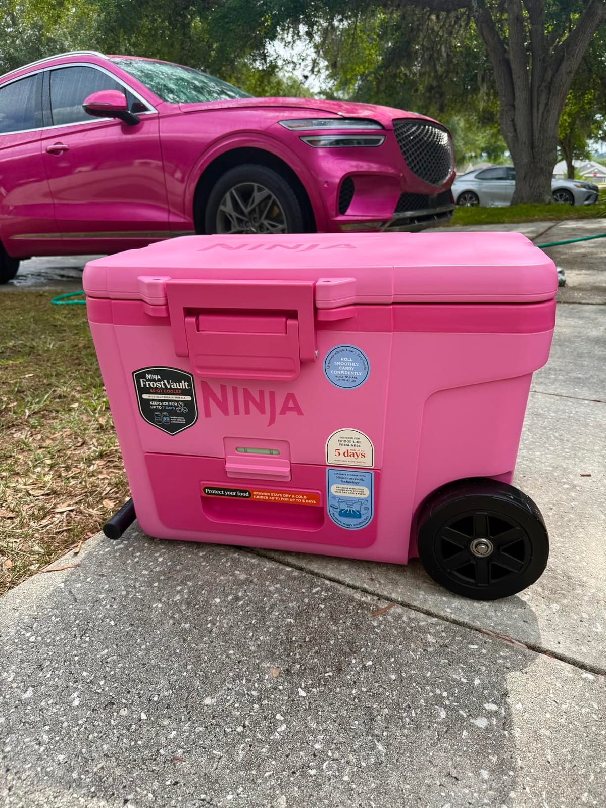Ninja FrostVault™ 45qt Cooler with Wheels, Dry Storage, Lakeshore Blue customer photo 1