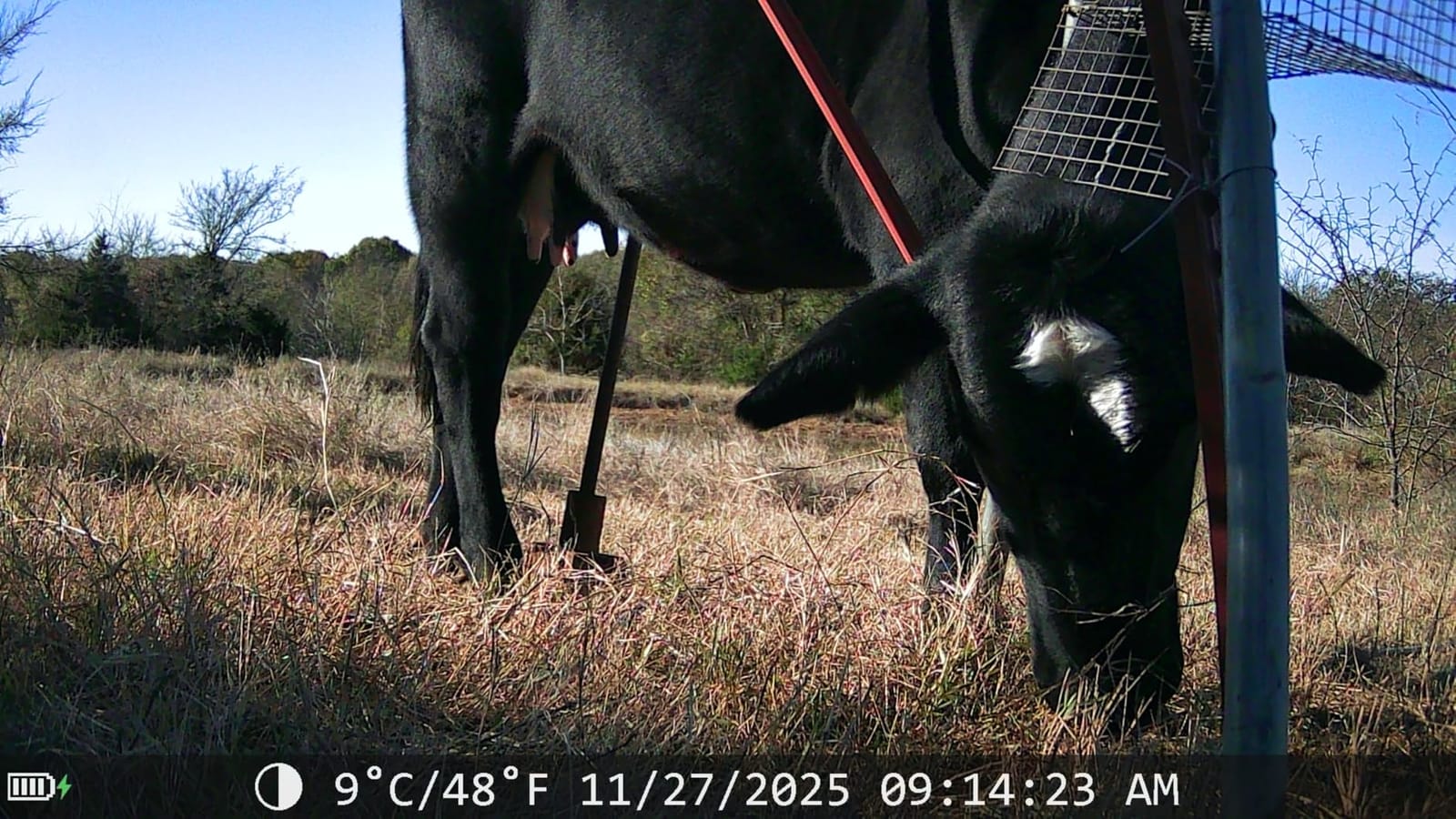 Trail Cameras with Night Vision Motion Activated - WiFi Bluetooth 4K 64MP customer photo 1