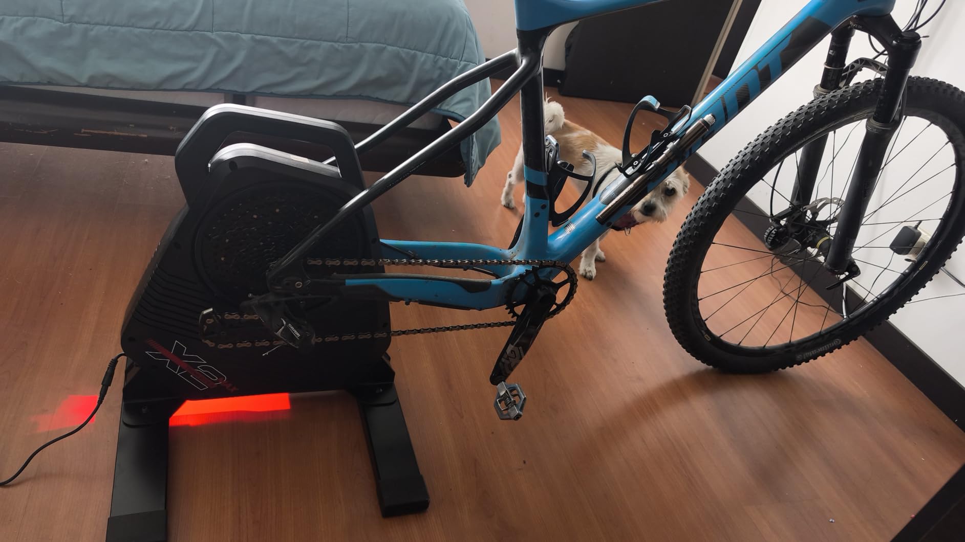 ThinkRider X2Max Smart Bike Trainer，2000w，Simulates 18% Slope，ANT + & BLE customer photo 1