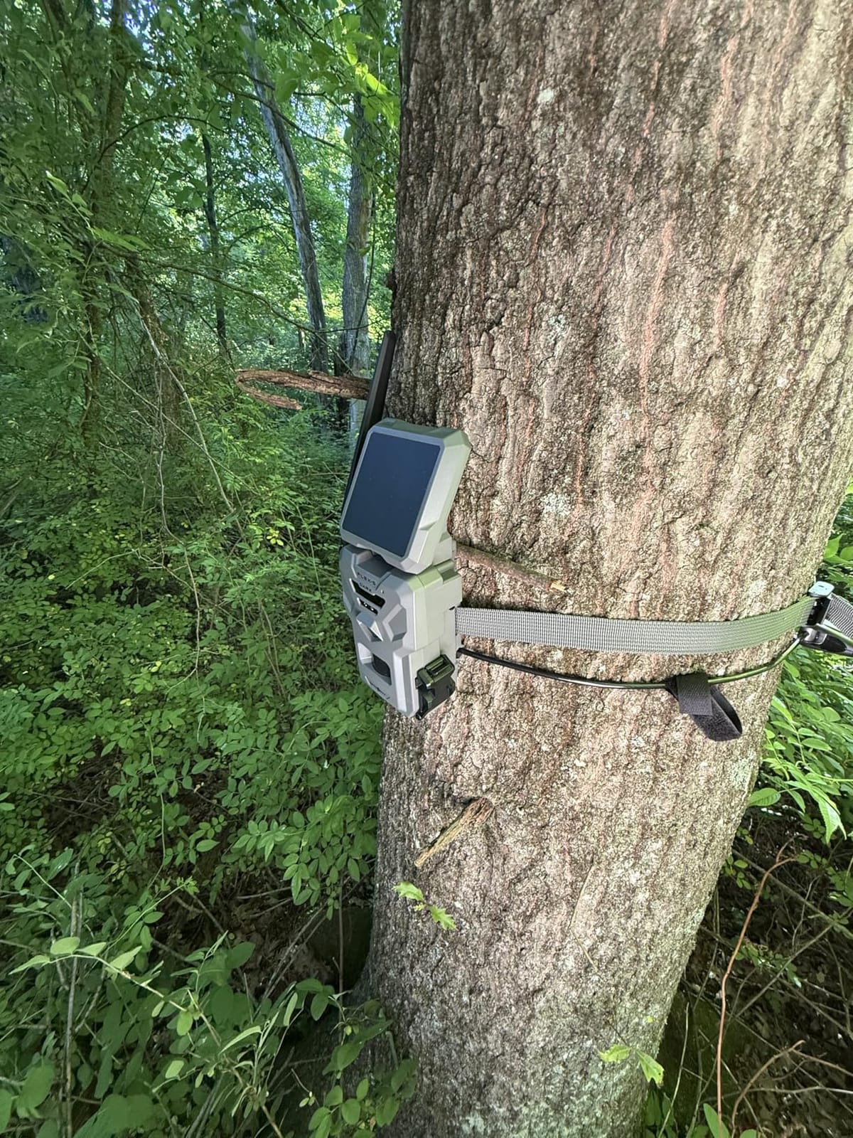 SPYPOINT Flex-S-Dark Solar Cellular Trail Camera – Built-in Solar Panel, 40MP Photos, 1080p Videos + Sound, No-Glow Game Camera, Night Vision, Motion Activated Trail Cam customer photo 1