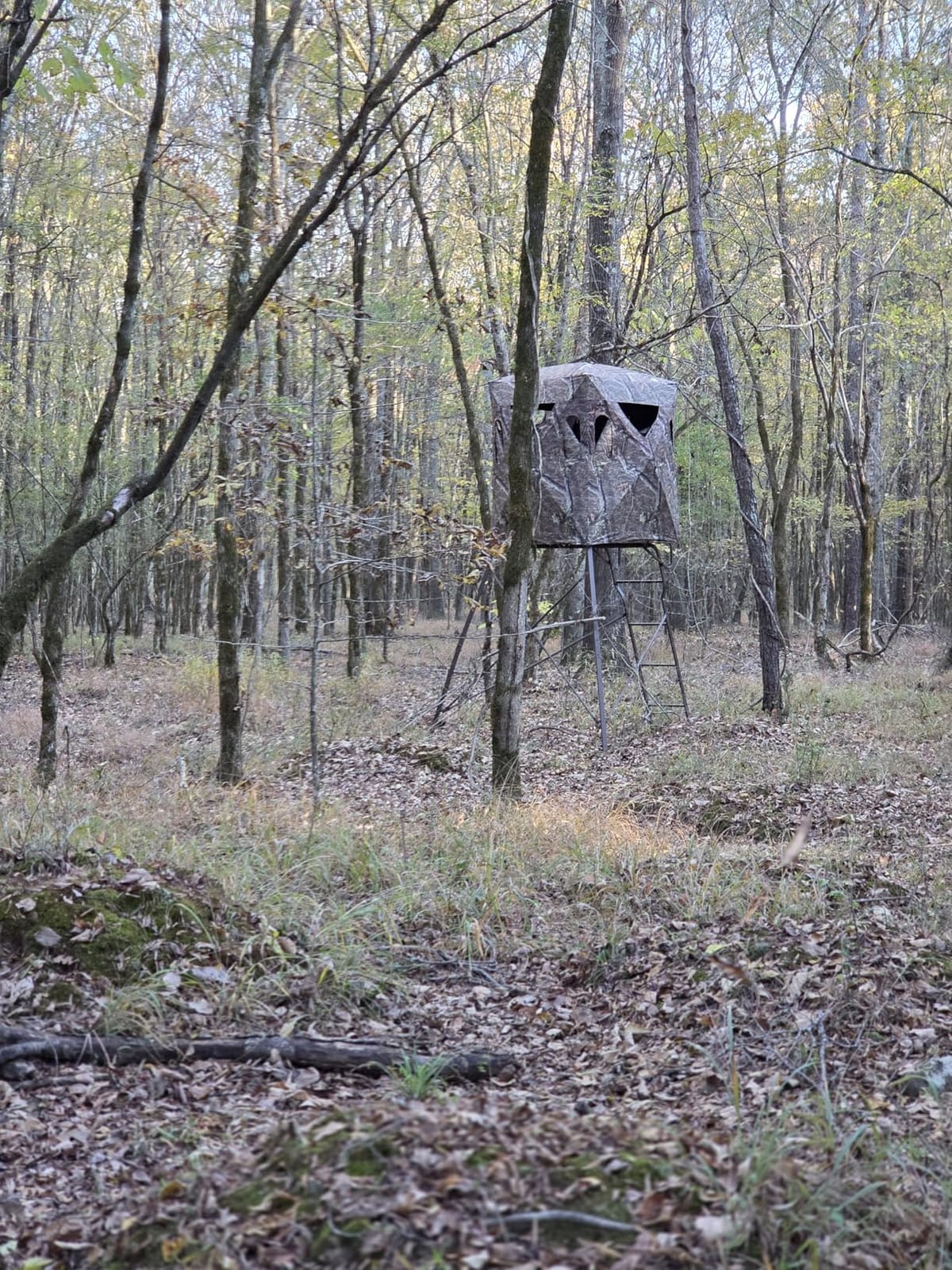 Guide Gear 6 Foot Tripod Hunting Tower Blind, 2-Man Stand Elevated, Hunting Gear Equipment Accessories, 4 by 4 customer photo 2